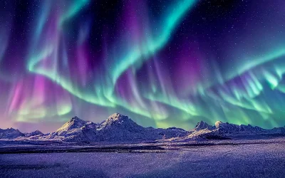 Why It’s Important to Use Your Dental Benefits Before the End of the Year